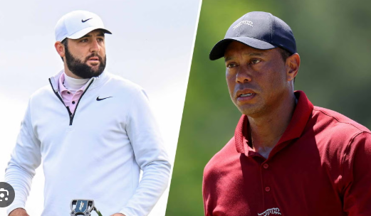Tiger woods