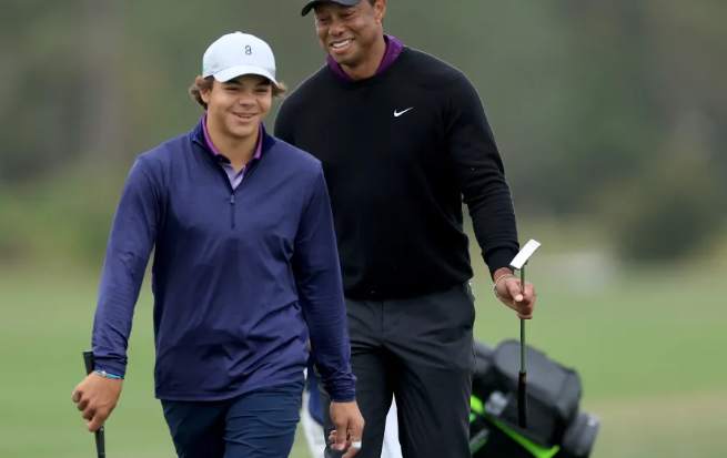 Tiger woods